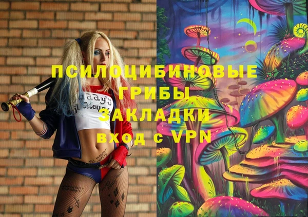 МДПВ Абаза