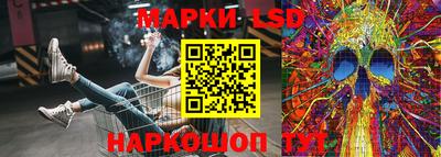 кокс Можга