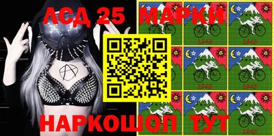 кокс Можга